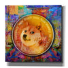 'DOGE Crypto Dogecoin,' by Portfolio, Canvas Wall Art