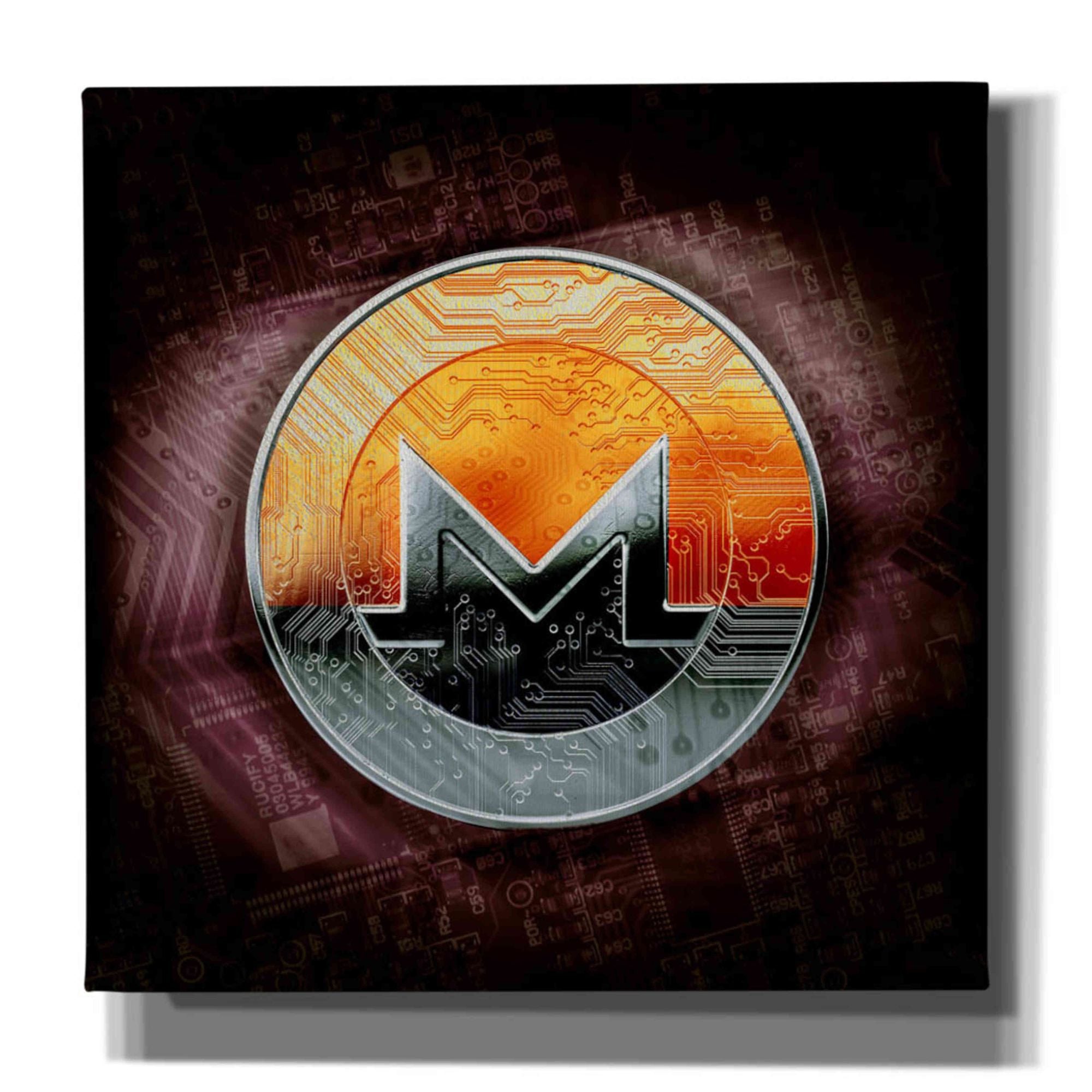 'XMR Monero Coin,' Canvas Wall Art