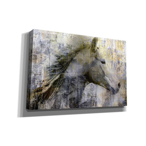 Image of 'Vintage Horse,' Canvas Wall Art,18x12x1.1x0,26x18x1.1x0,40x26x1.74x0,60x40x1.74x0
