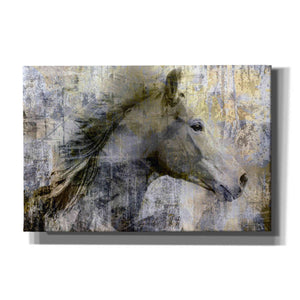 'Vintage Horse,' Canvas Wall Art,18x12x1.1x0,26x18x1.1x0,40x26x1.74x0,60x40x1.74x0
