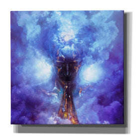 'Evaporate' by Mario Sanchez Nevado, Canvas Wall Art