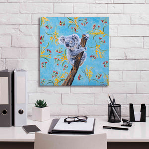 'Koala by Alana Clumeck Giclee Canvas Wall Art,18x18