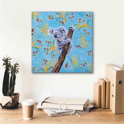 Image of 'Koala by Alana Clumeck Giclee Canvas Wall Art,18x18