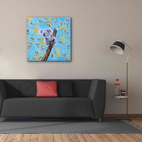 Image of 'Koala by Alana Clumeck Giclee Canvas Wall Art,37x37