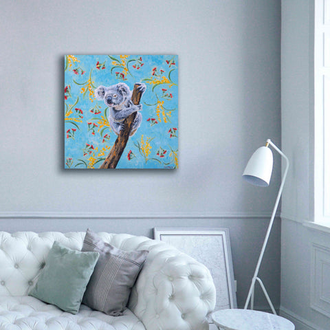 Image of 'Koala by Alana Clumeck Giclee Canvas Wall Art,37x37