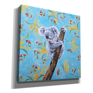 'Koala by Alana Clumeck Giclee Canvas Wall Art