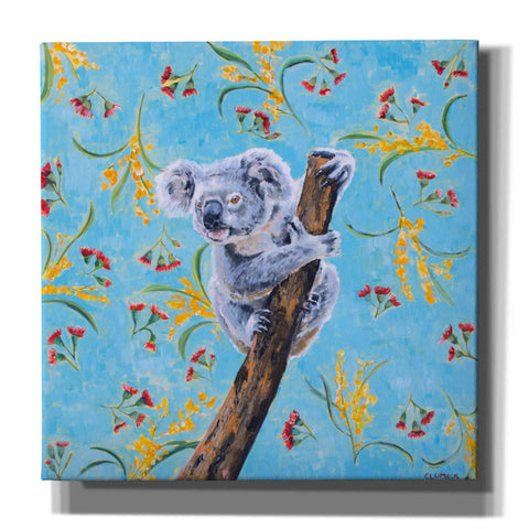 Image of 'Koala by Alana Clumeck Giclee Canvas Wall Art