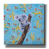 'Koala by Alana Clumeck Giclee Canvas Wall Art