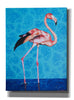 'Flamingo by Alana Clumeck Giclee Canvas Wall Art