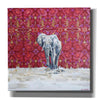'Elephant by Alana Clumeck Giclee Canvas Wall Art