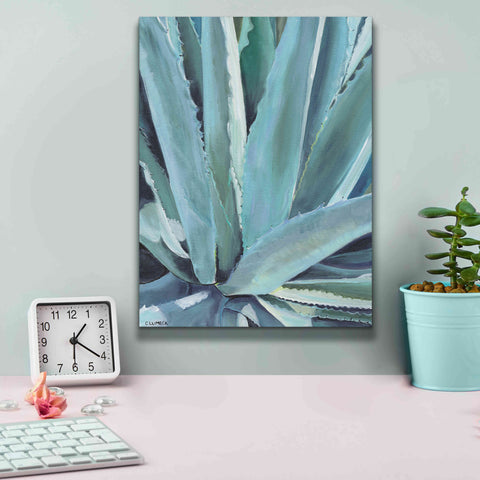 Image of 'Blue Agave by Alana Clumeck Giclee Canvas Wall Art,12x16