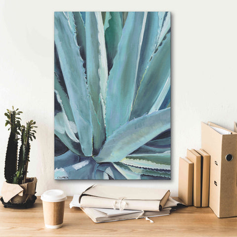 Image of 'Blue Agave by Alana Clumeck Giclee Canvas Wall Art,18x26
