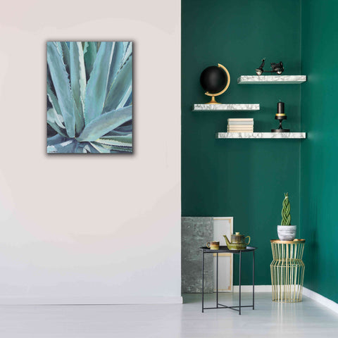 Image of 'Blue Agave by Alana Clumeck Giclee Canvas Wall Art,26x34