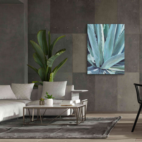 Image of 'Blue Agave by Alana Clumeck Giclee Canvas Wall Art,40x54
