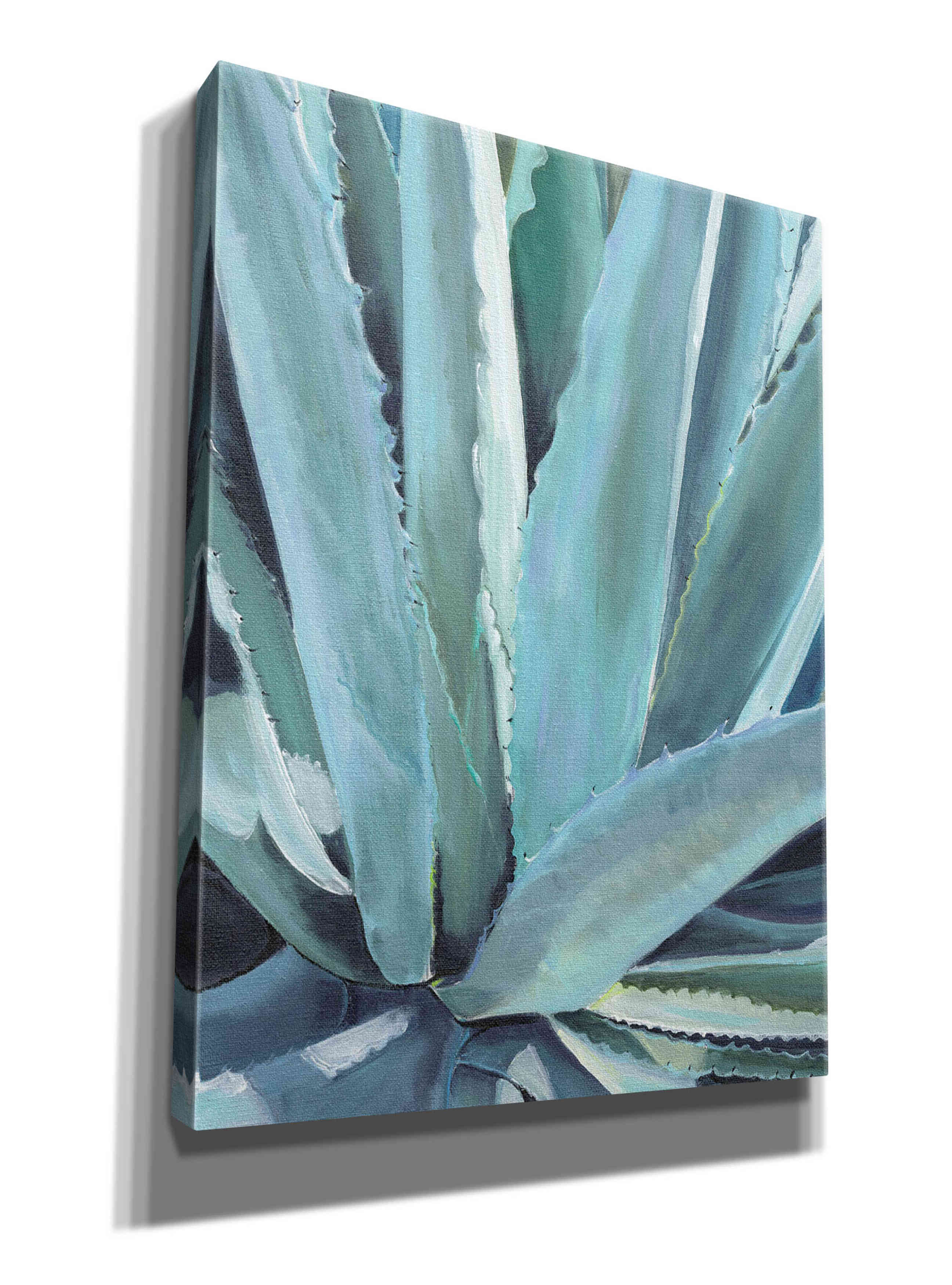 'Blue Agave by Alana Clumeck Giclee Canvas Wall Art