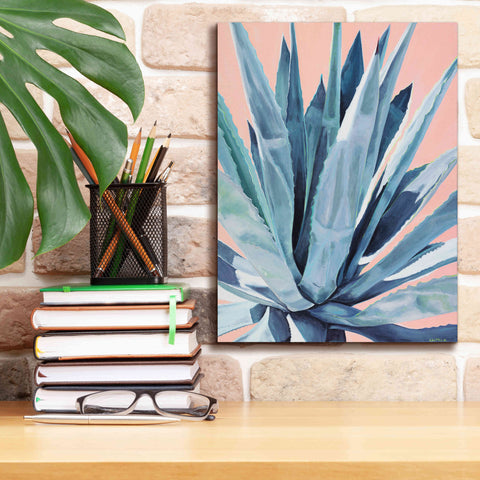 Image of 'Agave With Coral by Alana Clumeck Giclee Canvas Wall Art,12x16