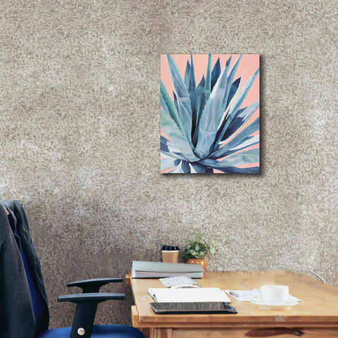 Image of 'Agave With Coral by Alana Clumeck Giclee Canvas Wall Art,20x24