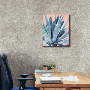 'Agave With Coral by Alana Clumeck Giclee Canvas Wall Art,20x24