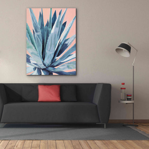 Image of 'Agave With Coral by Alana Clumeck Giclee Canvas Wall Art,40x54