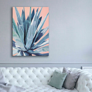 'Agave With Coral by Alana Clumeck Giclee Canvas Wall Art,40x54