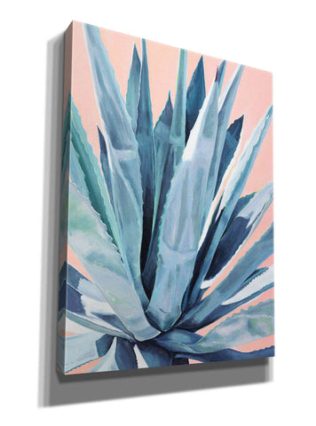 Image of 'Agave With Coral by Alana Clumeck Giclee Canvas Wall Art
