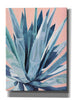'Agave With Coral by Alana Clumeck Giclee Canvas Wall Art