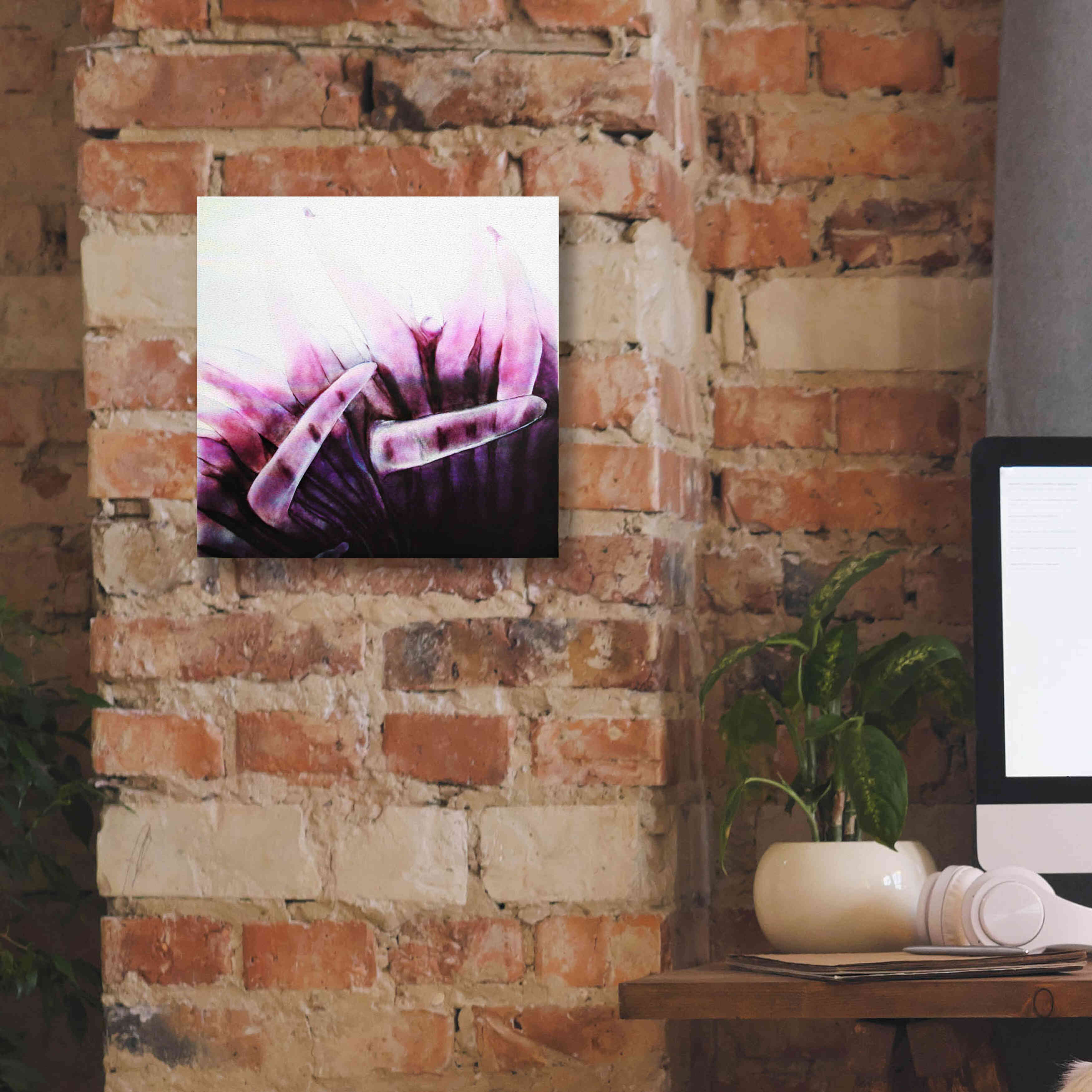 'Tentacles' by Rita Shimelfarb, Giclee Canvas Wall Art,12x12