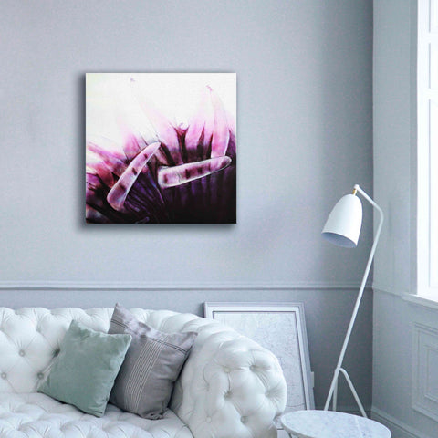 Image of 'Tentacles' by Rita Shimelfarb, Giclee Canvas Wall Art,37x37