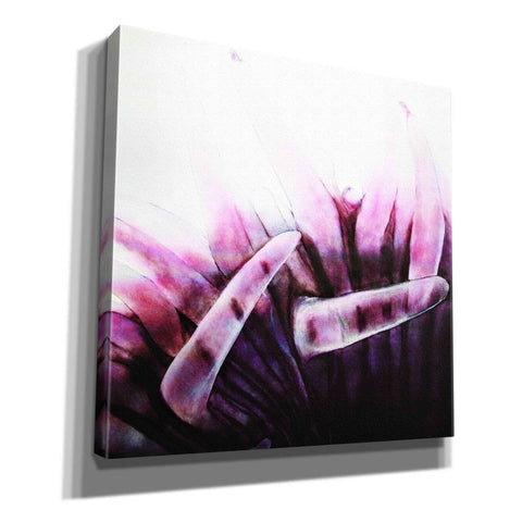 Image of 'Tentacles' by Rita Shimelfarb, Giclee Canvas Wall Art