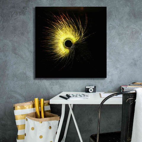 Image of 'Luminescence' by Rita Shimelfarb, Giclee Canvas Wall Art,26x26