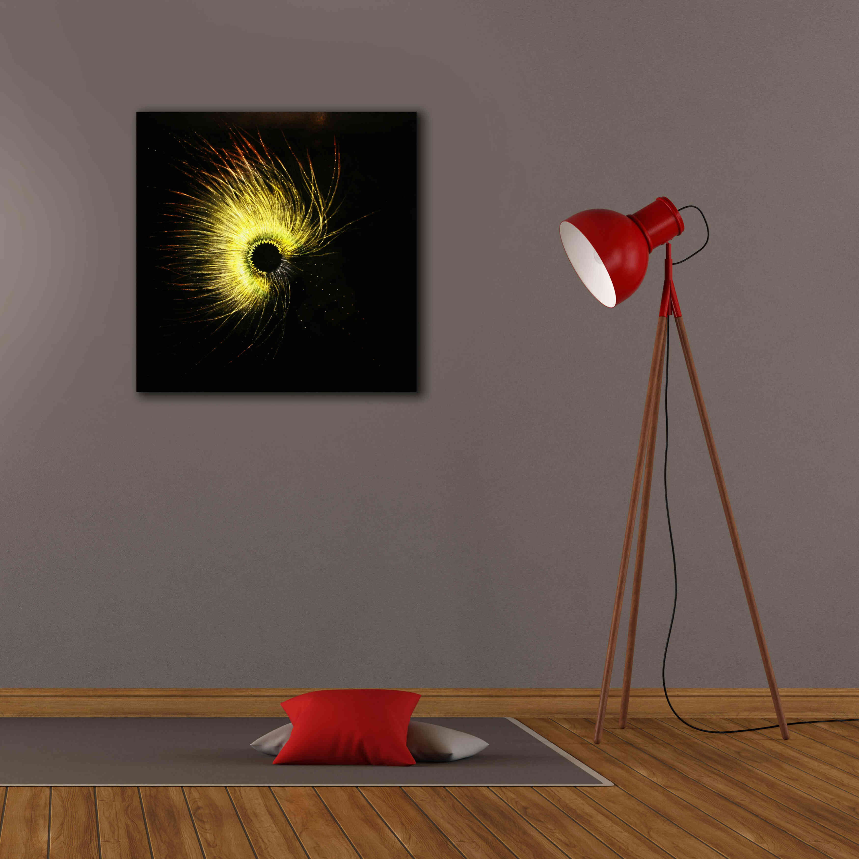 'Luminescence' by Rita Shimelfarb, Giclee Canvas Wall Art,26x26