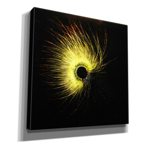 Image of 'Luminescence' by Rita Shimelfarb, Giclee Canvas Wall Art