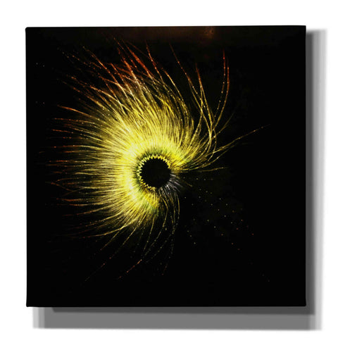 Image of 'Luminescence' by Rita Shimelfarb, Giclee Canvas Wall Art