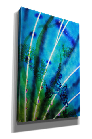Image of 'Lion Fish Fin' by Rita Shimelfarb, Giclee Canvas Wall Art