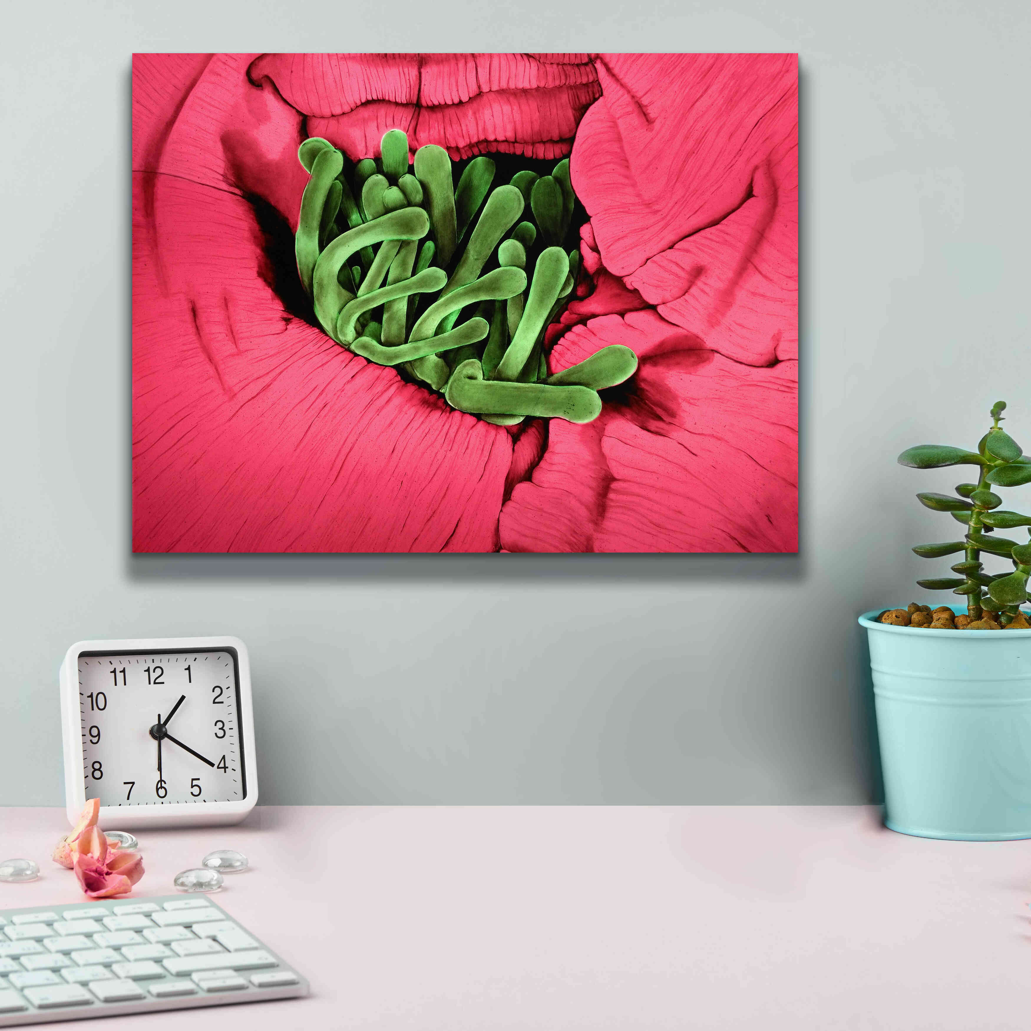 'Folds' by Rita Shimelfarb, Giclee Canvas Wall Art,16x12