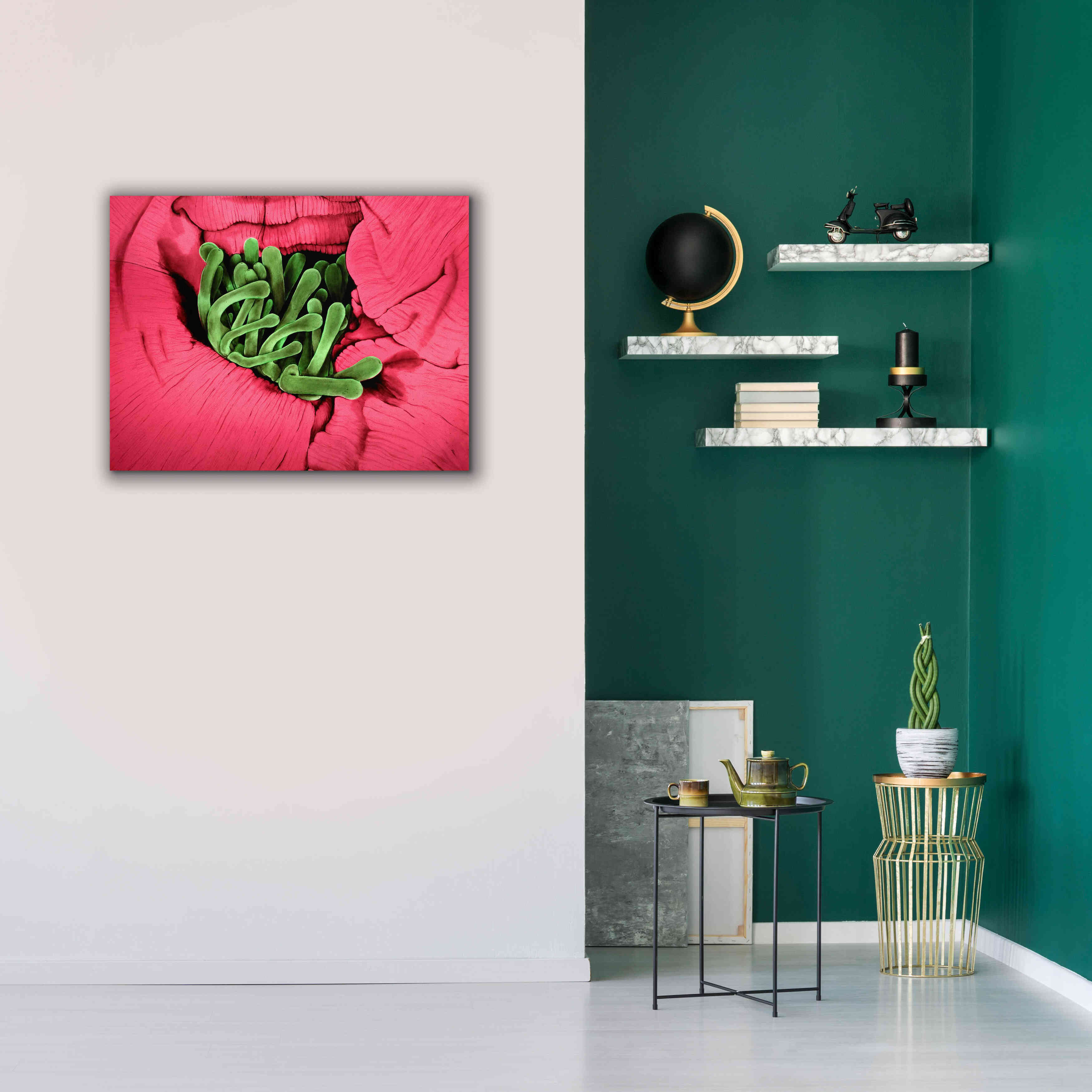 'Folds' by Rita Shimelfarb, Giclee Canvas Wall Art,34x26