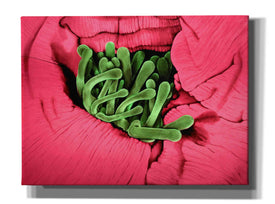 'Folds' by Rita Shimelfarb, Giclee Canvas Wall Art