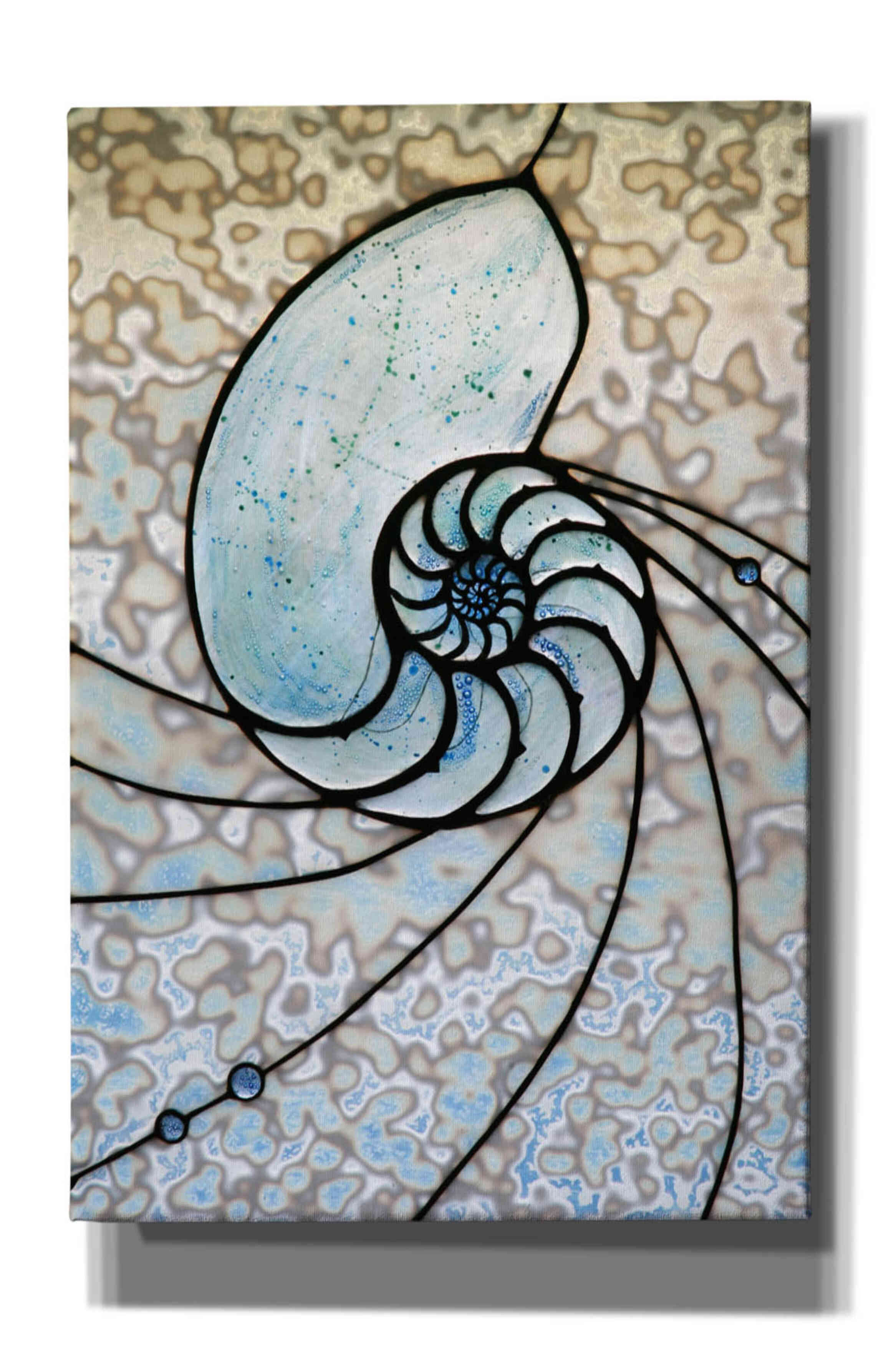 'Shell' by Rita Shimelfarb, Giclee Canvas Wall Art