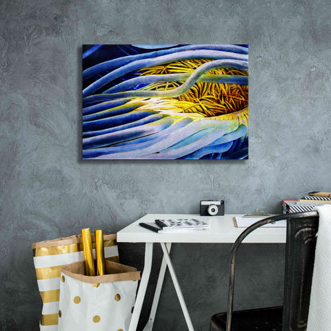 Image of 'Anemone Cerianthid' by Rita Shimelfarb, Giclee Canvas Wall Art,26x18
