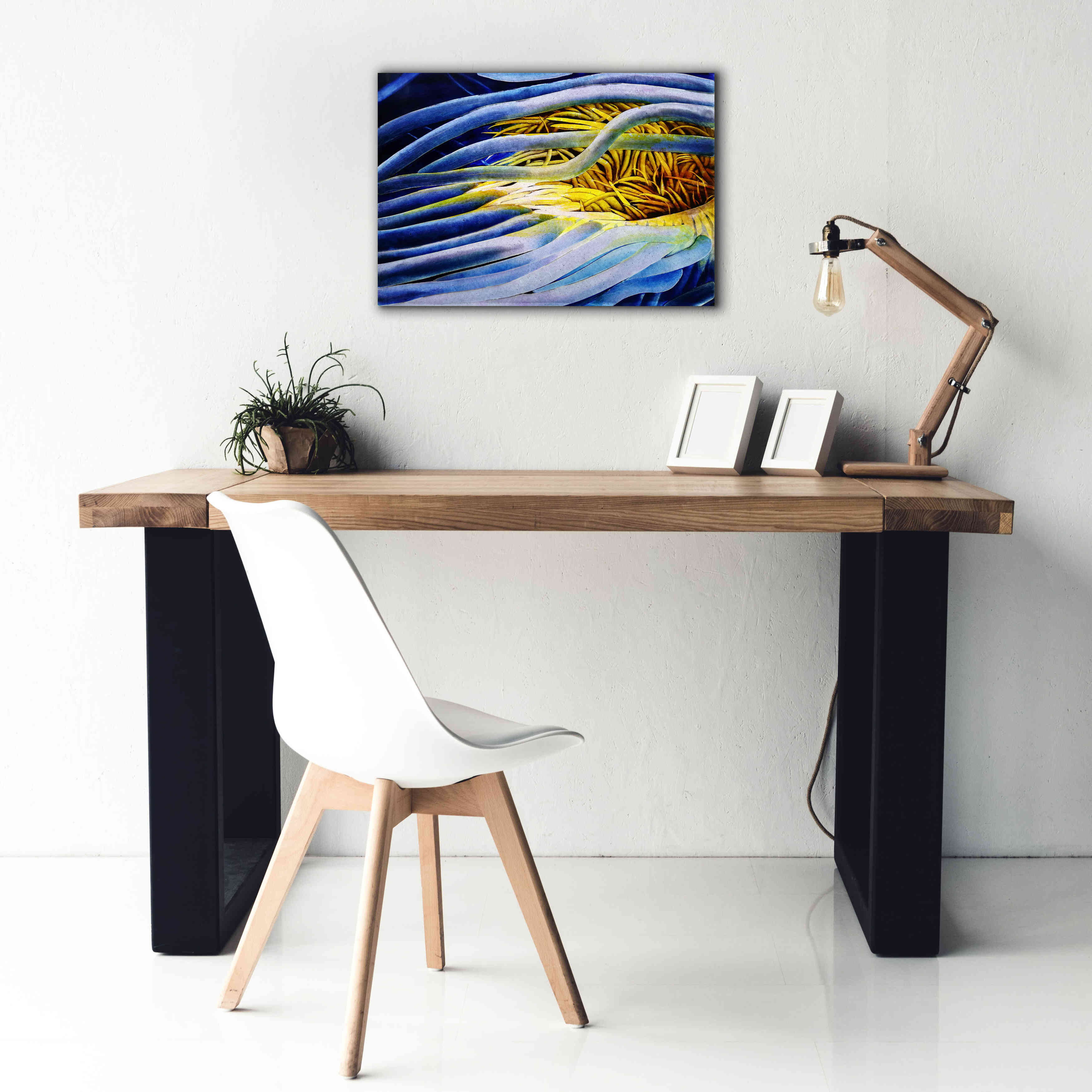 'Anemone Cerianthid' by Rita Shimelfarb, Giclee Canvas Wall Art,26x18