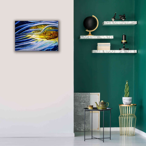 Image of 'Anemone Cerianthid' by Rita Shimelfarb, Giclee Canvas Wall Art,26x18