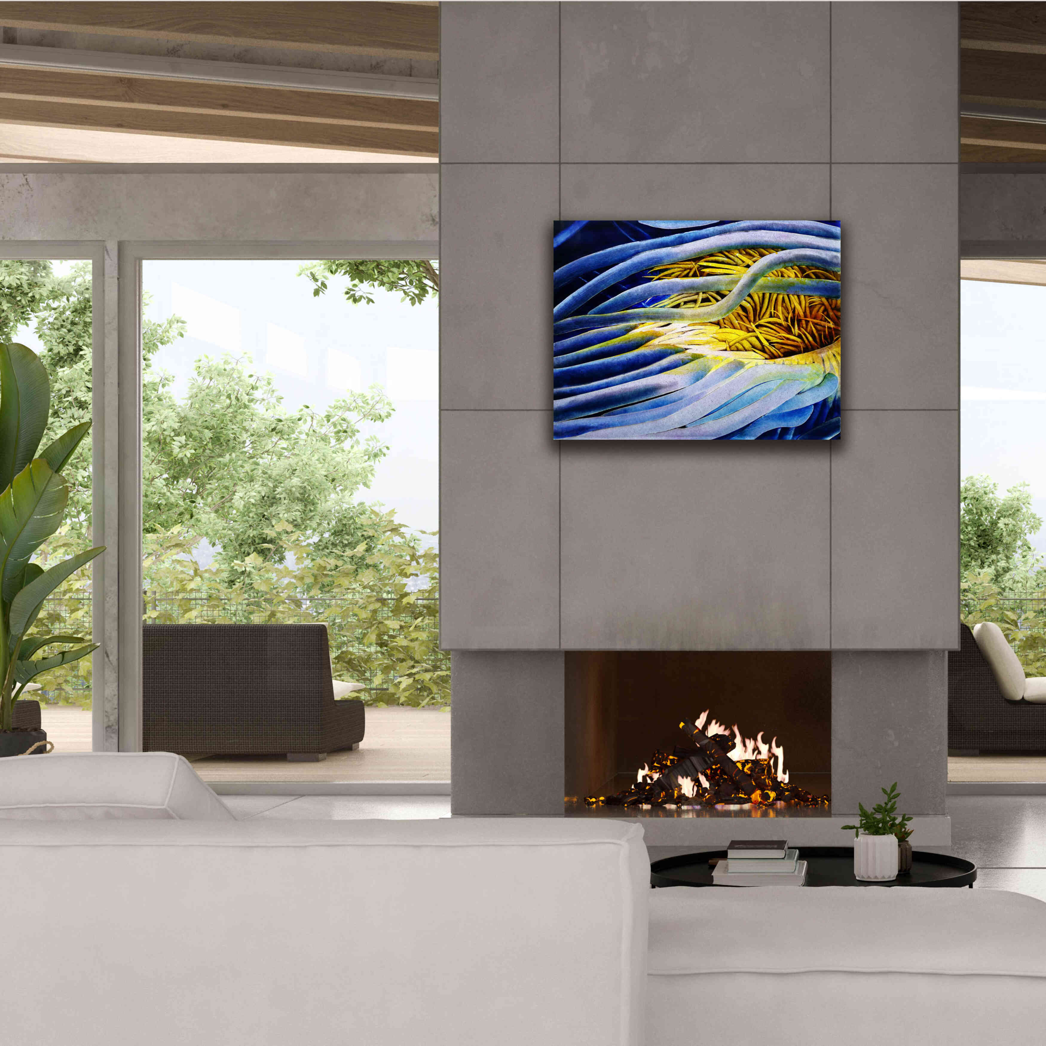 'Anemone Cerianthid' by Rita Shimelfarb, Giclee Canvas Wall Art,34x26