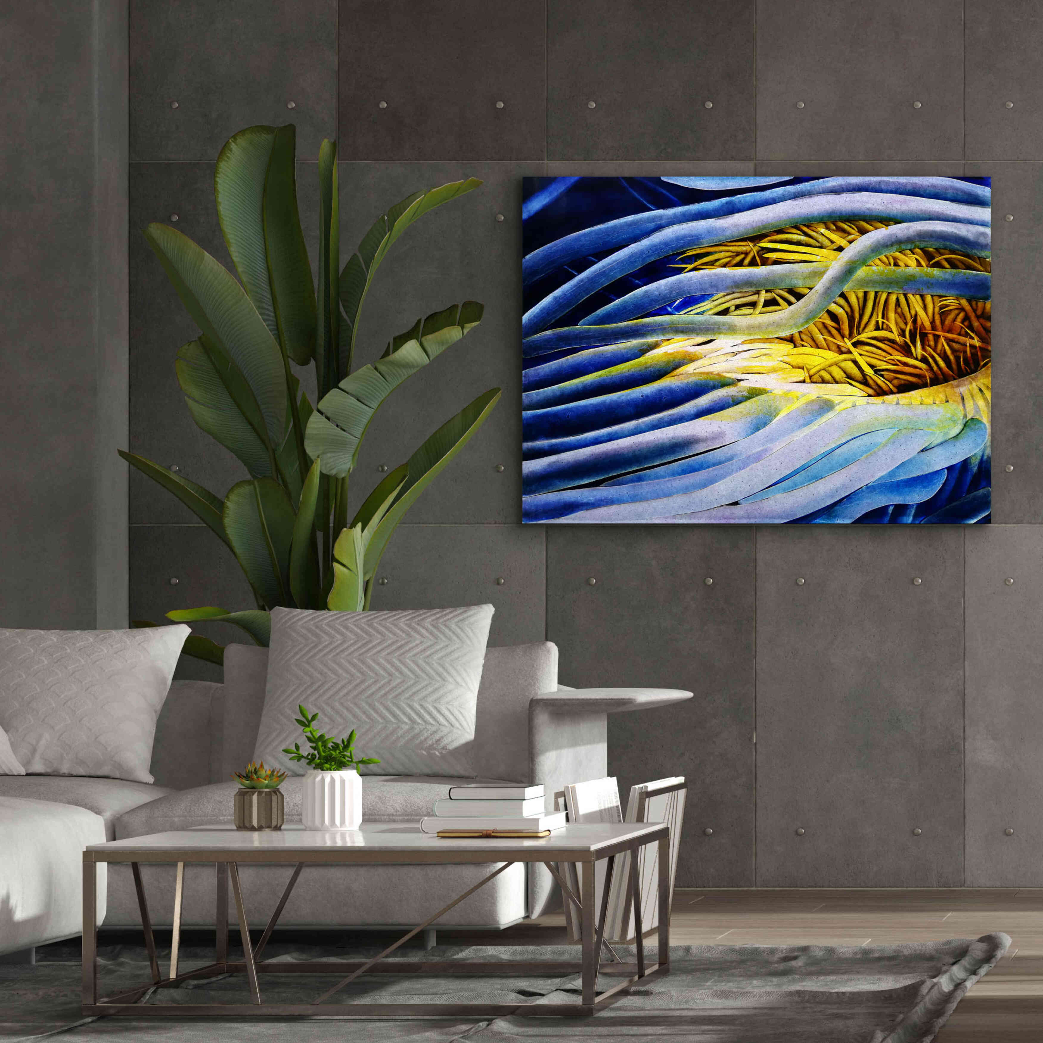 'Anemone Cerianthid' by Rita Shimelfarb, Giclee Canvas Wall Art,54x40