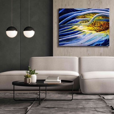 Image of 'Anemone Cerianthid' by Rita Shimelfarb, Giclee Canvas Wall Art,54x40