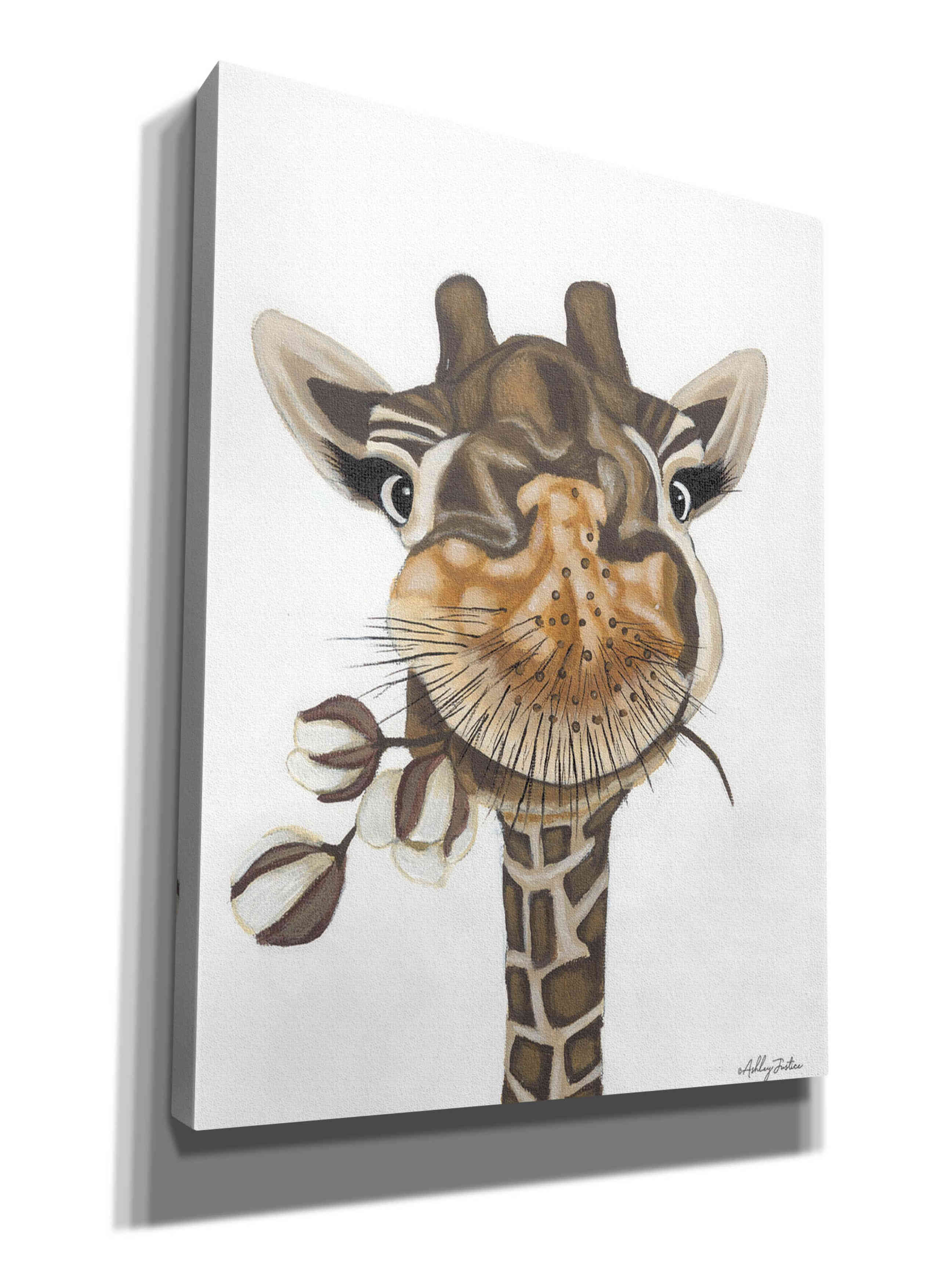 'Giraffe with Cotton' by Ashley Justice, Giclee Canvas Wall Art