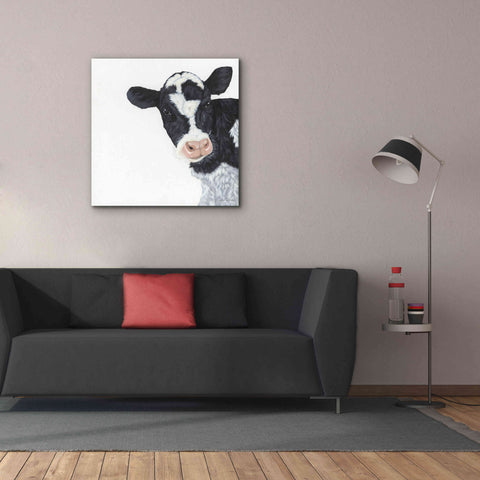 Image of 'Cow' by Ashley Justice, Giclee Canvas Wall Art,37x37