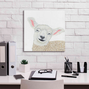 'Smiling Sheep' by Ashley Justice, Giclee Canvas Wall Art,18x18