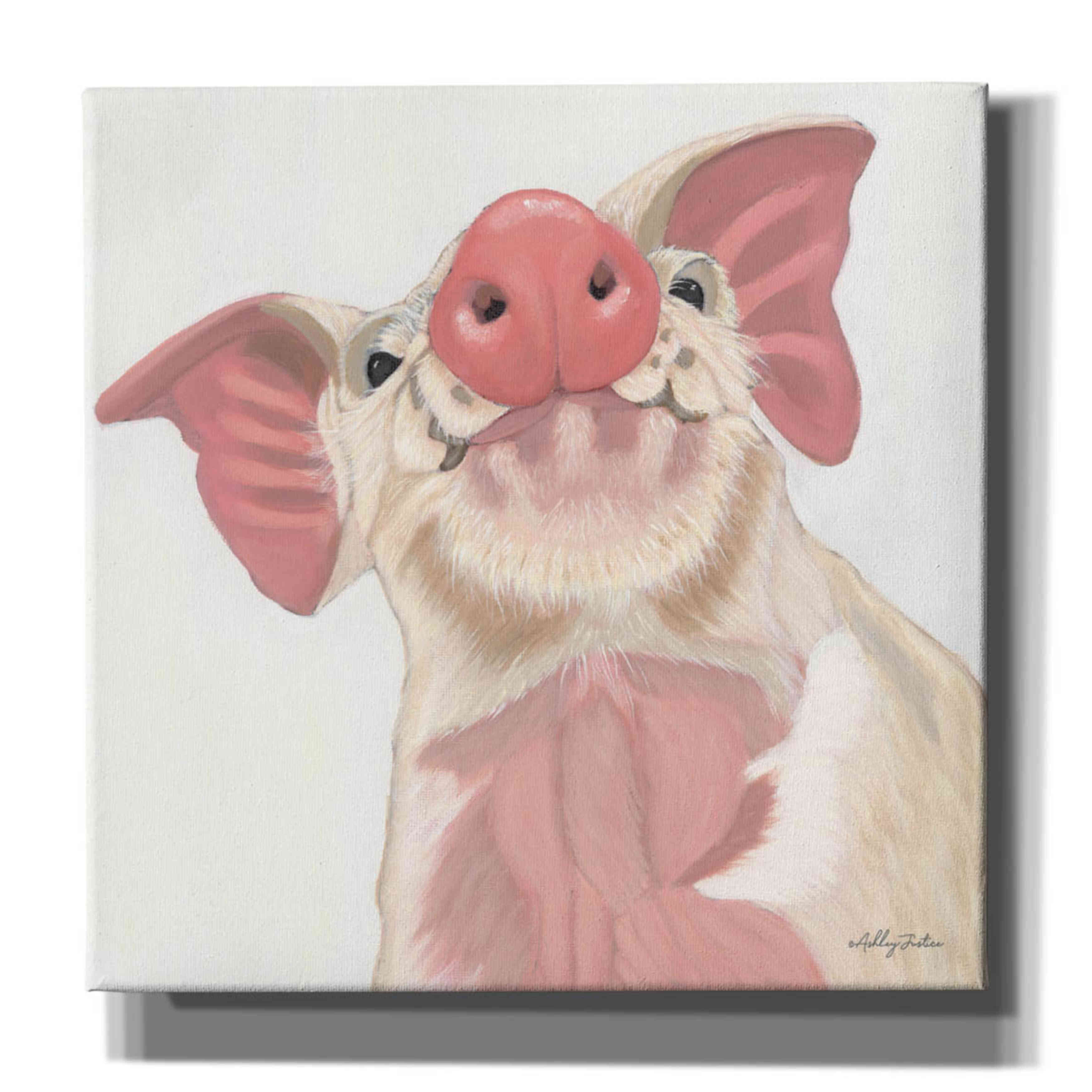 'Buster' by Ashley Justice, Giclee Canvas Wall Art