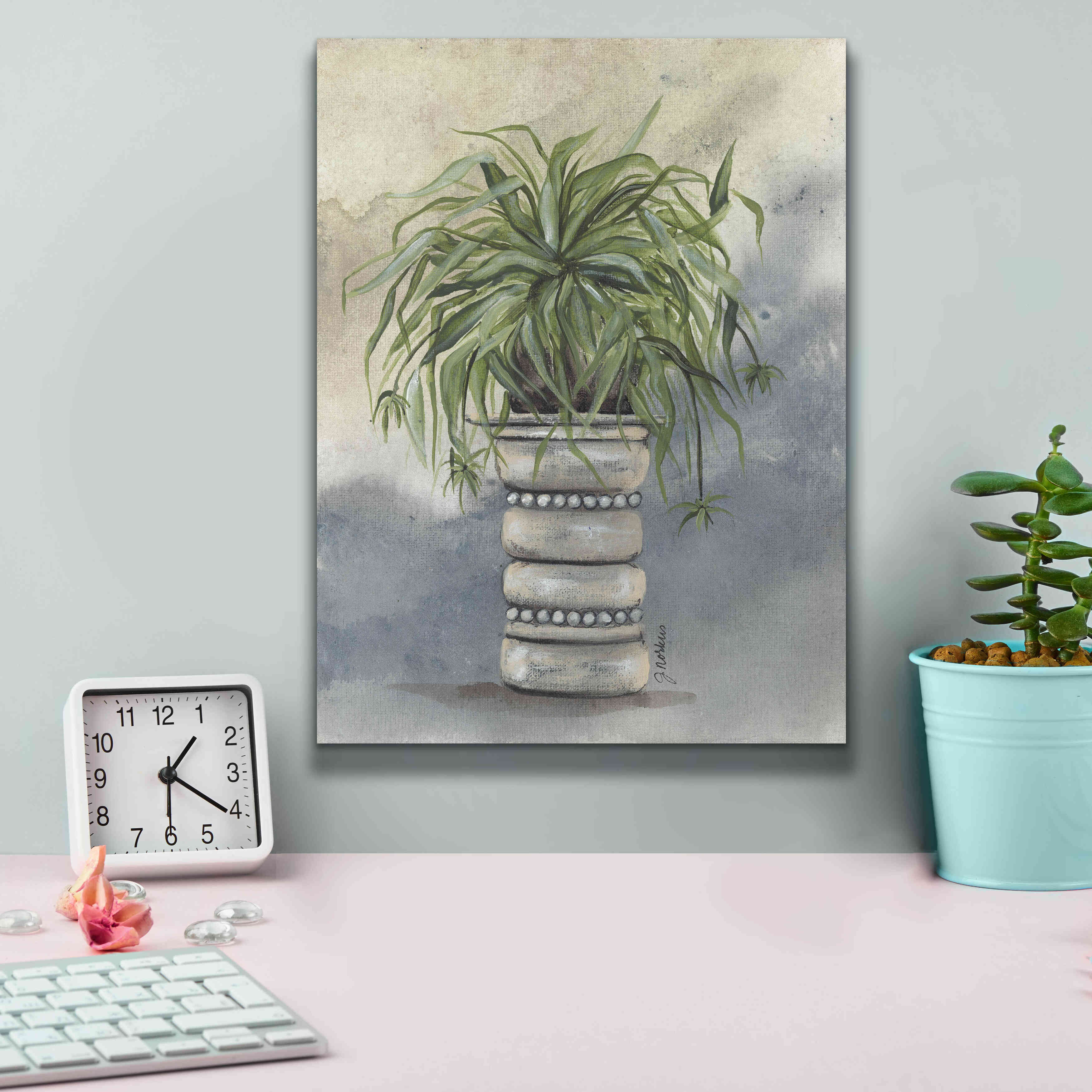 'Spider Plant in Pottery' by Julie Norkus, Giclee Canvas Wall Art,12x16