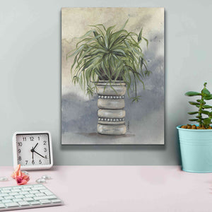 'Spider Plant in Pottery' by Julie Norkus, Giclee Canvas Wall Art,12x16
